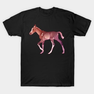 Sabino Foal T-Shirt